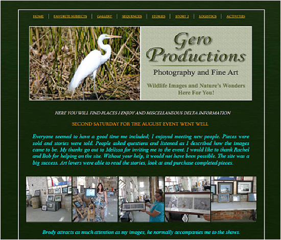 Gero Productions DIY Website Design